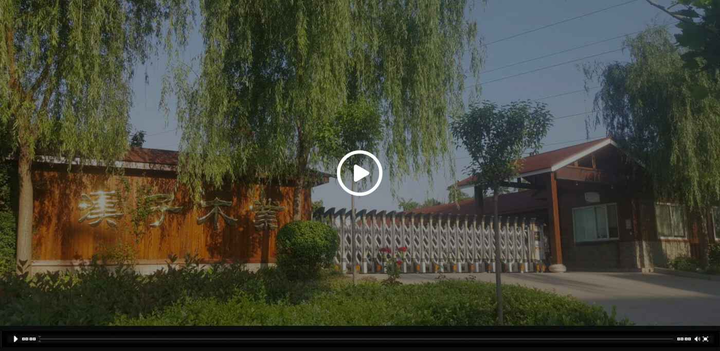 太原左勇旅游咨询服务有限公司